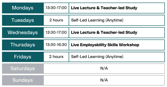 Daytime Skills Bootcamps schedule for 20 May cohort