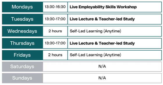 Daytime Skills Bootcamps schedule for 28 May cohort